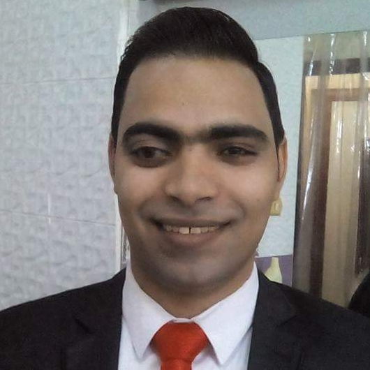 Ahmed  Effat Abd Elsattar