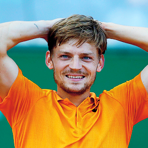 David  Goffin