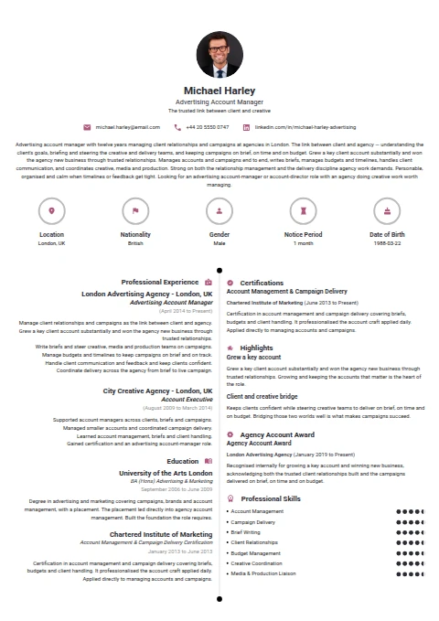 Advertising Account Manager resume example