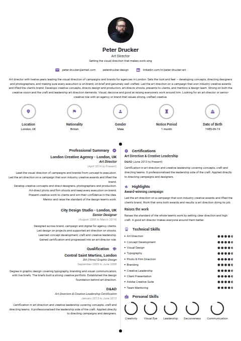 Art Director resume example