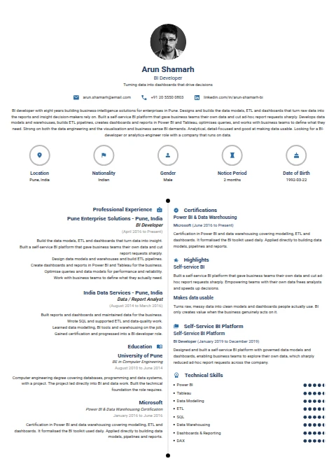 Bi Developer resume example