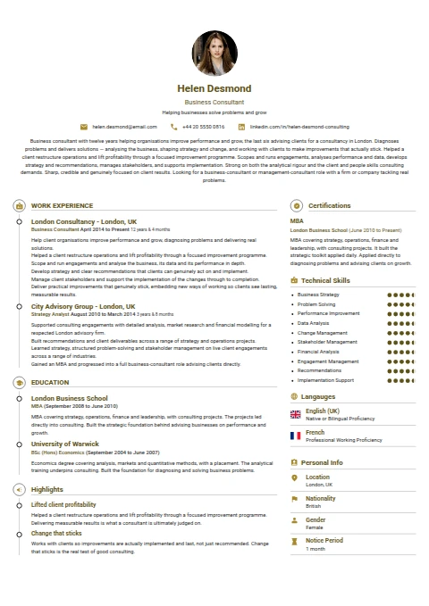 Business Consultant resume example