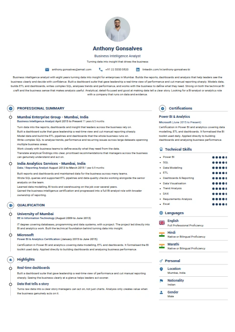 Business Inteligence Analyst resume example