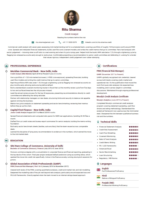 Credit Analyst resume example