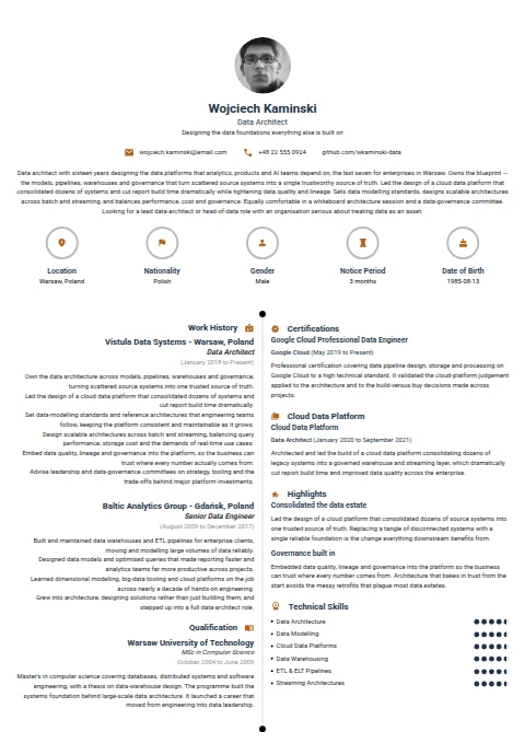 Data Architect resume example