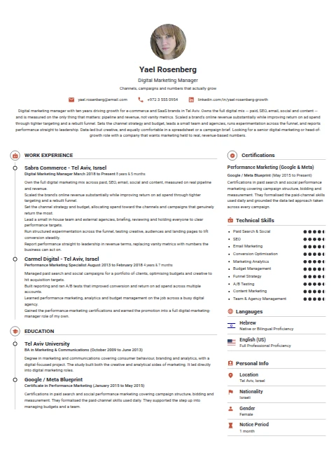 Digital Marketing Manager resume example