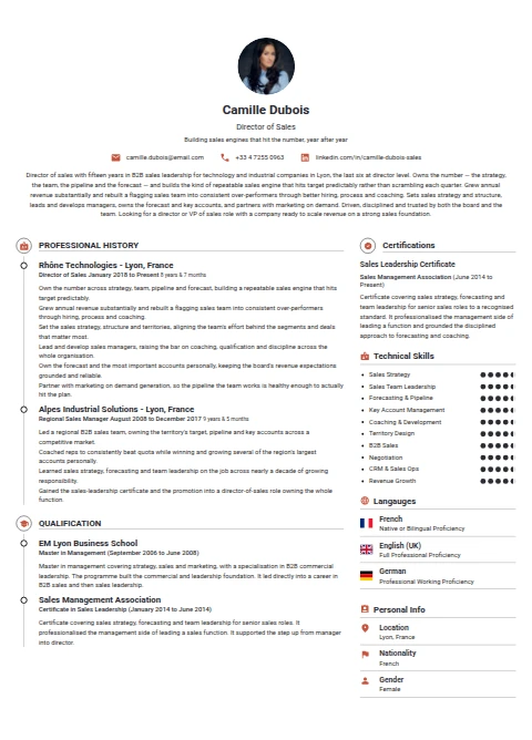 Director of Sales resume example