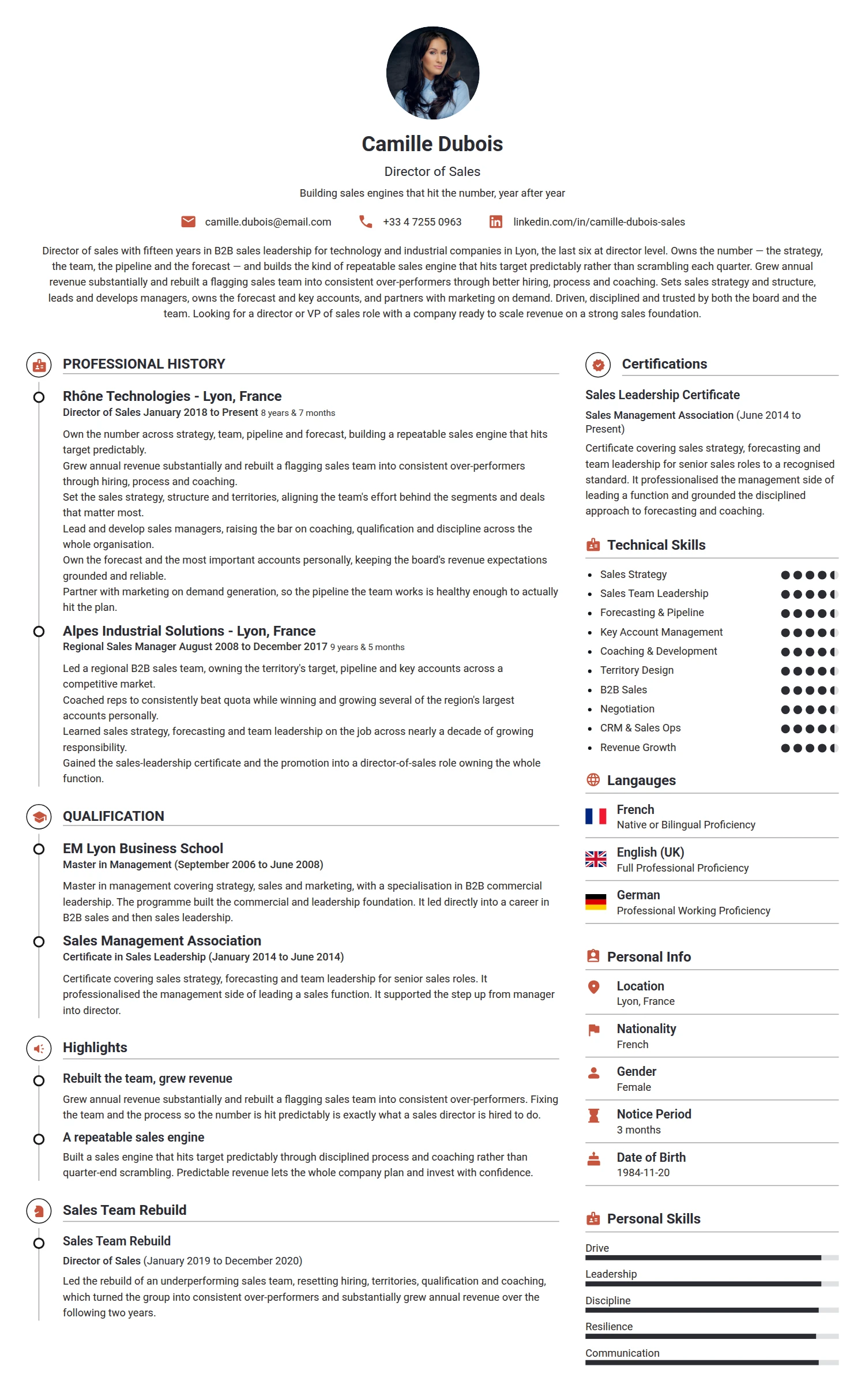 Director of Sales resume example — a professionally formatted Sales CV sample