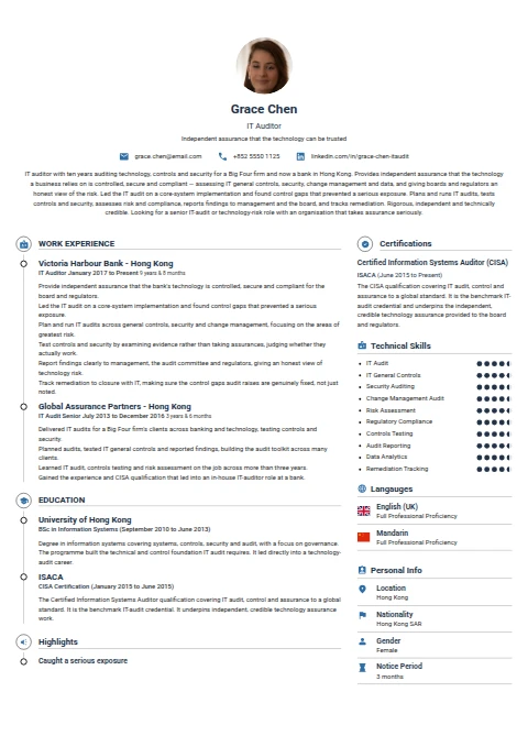 IT Auditor resume example
