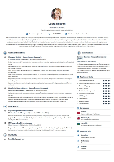 IT Business Analyst resume example