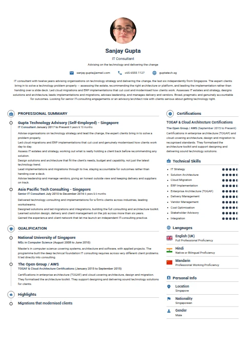IT Consultant resume example