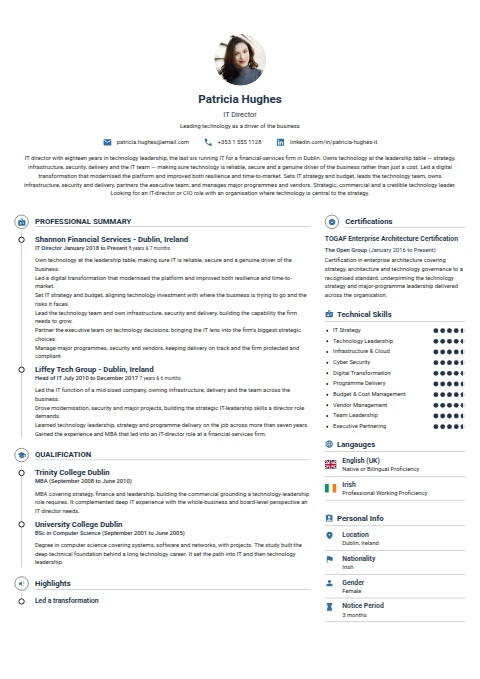 IT Director resume example