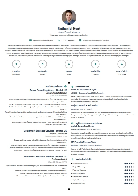 Junior Project Manager resume example