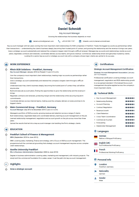 Key Account Manager resume example