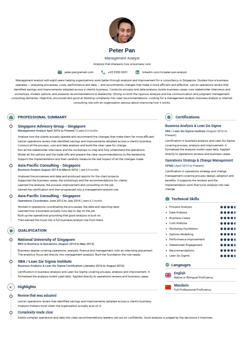 Management Analyst resume example