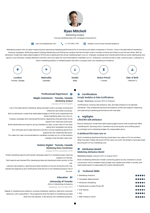 Marketing Analyst resume example