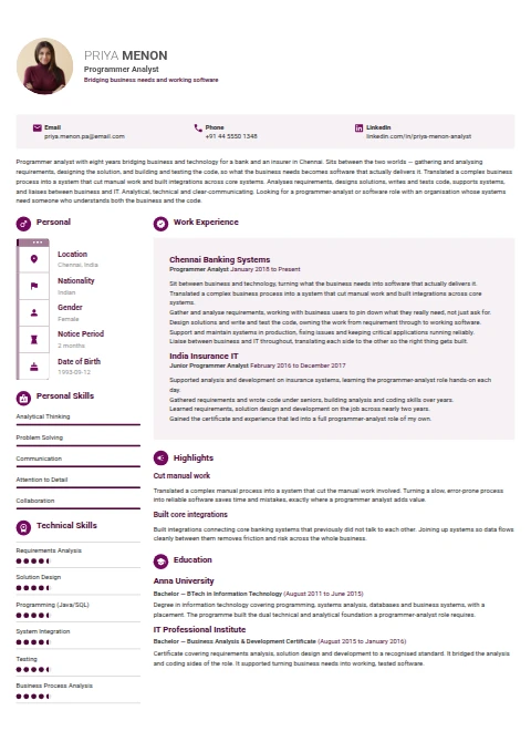 Programmer Analyst resume example