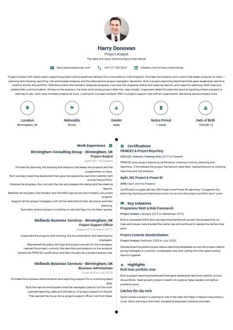 Project Analyst resume example