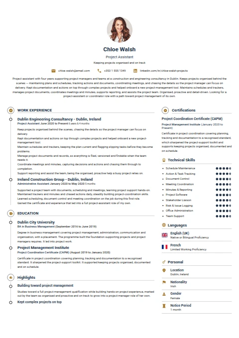 Project Assistant resume example