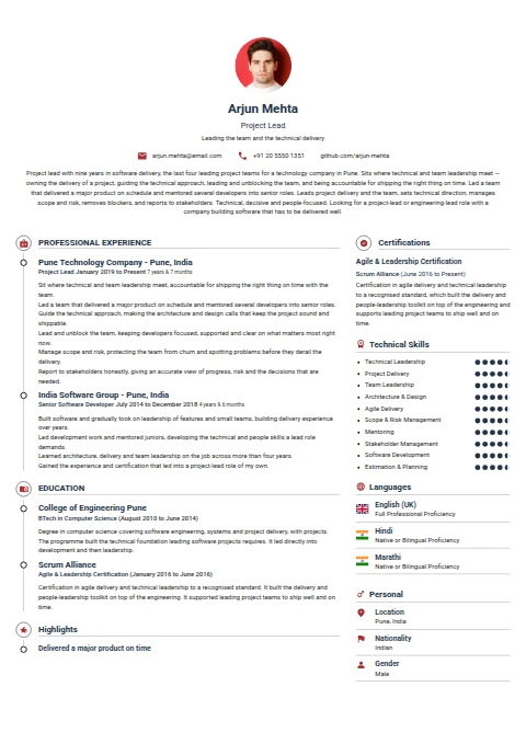 Project Lead resume example