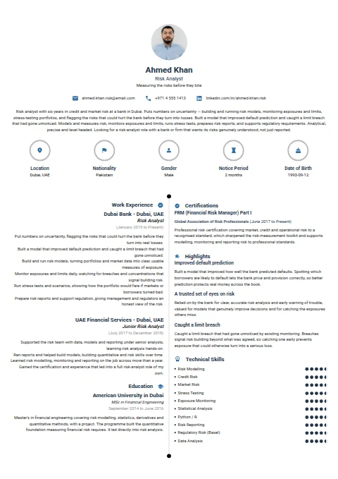 Risk Analyst resume example