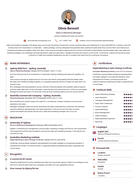 Sales and Marketing Manager resume example