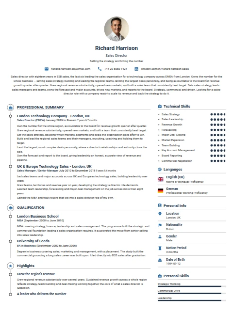 Sales Director resume example