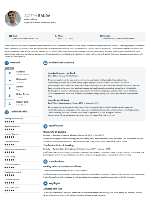 Sales Officer resume example