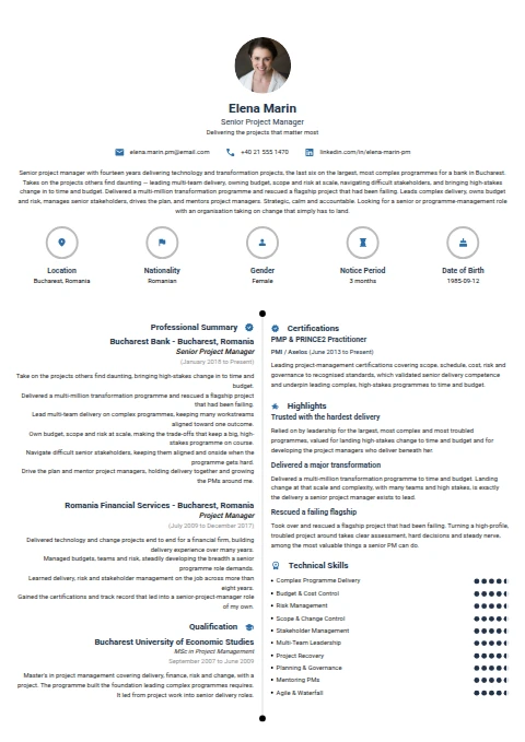Senior Project Manager resume example