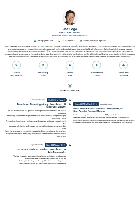 Senior Sales Executive resume example