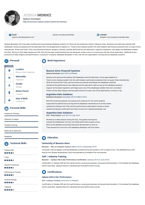 Sybase Developer resume example — a professionally formatted Software Development & IT CV sample