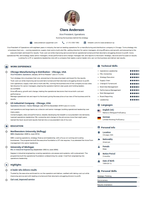 Vice President resume example